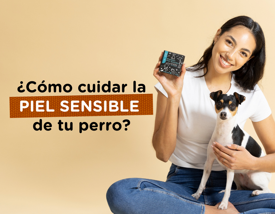 ¿Cómo cuidar la piel sensible de tu perro?