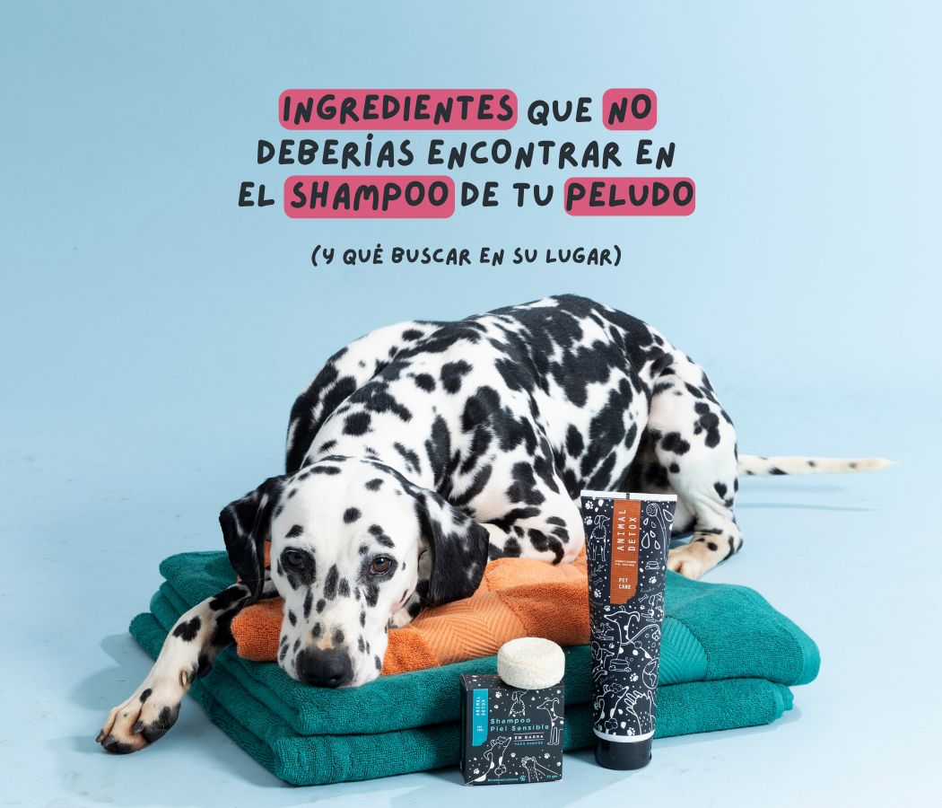 Evita estos 3 ingredientes en el shampoo de tu peludo